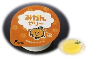 みかんゼリー（鉄）.jpg